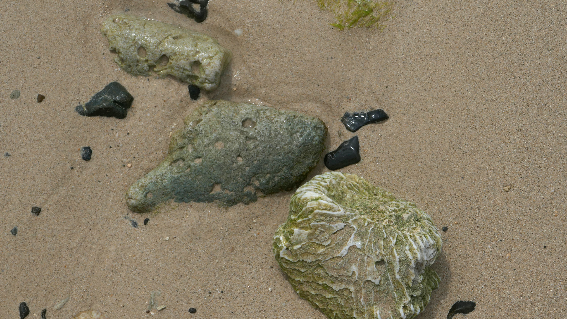 2022-04-20 Playa Forti & Playa Jeremi (Foto)