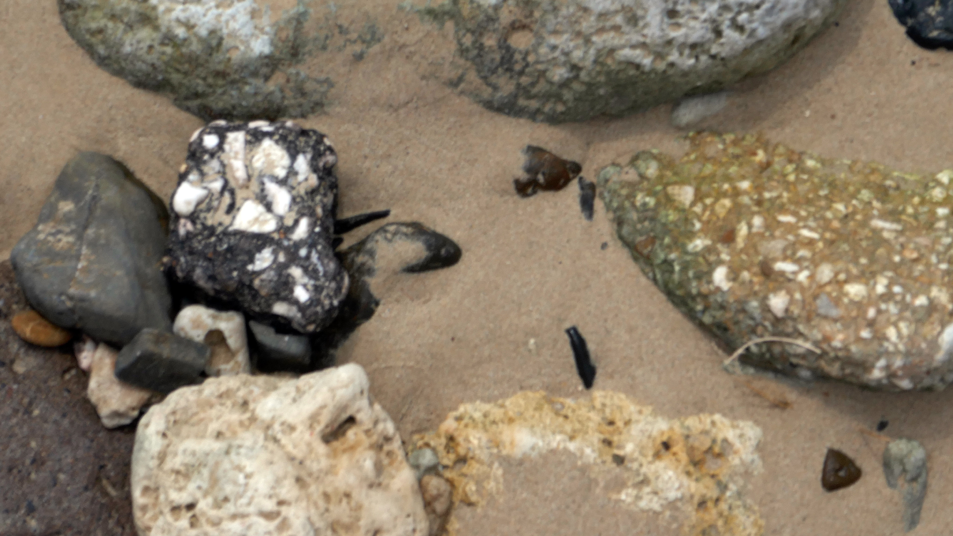 2022-04-20 Playa Forti & Playa Jeremi (Foto)