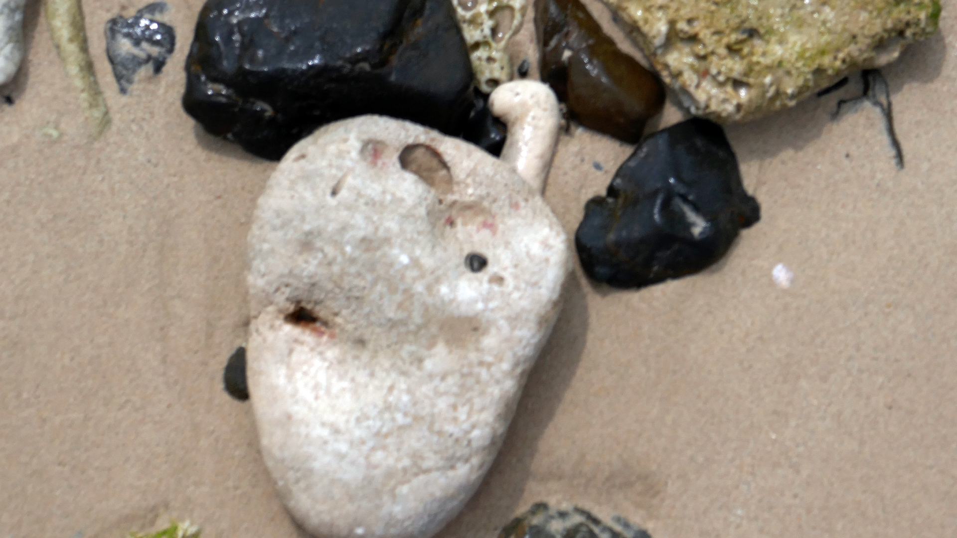 2022-04-20 Playa Forti & Playa Jeremi (Foto)