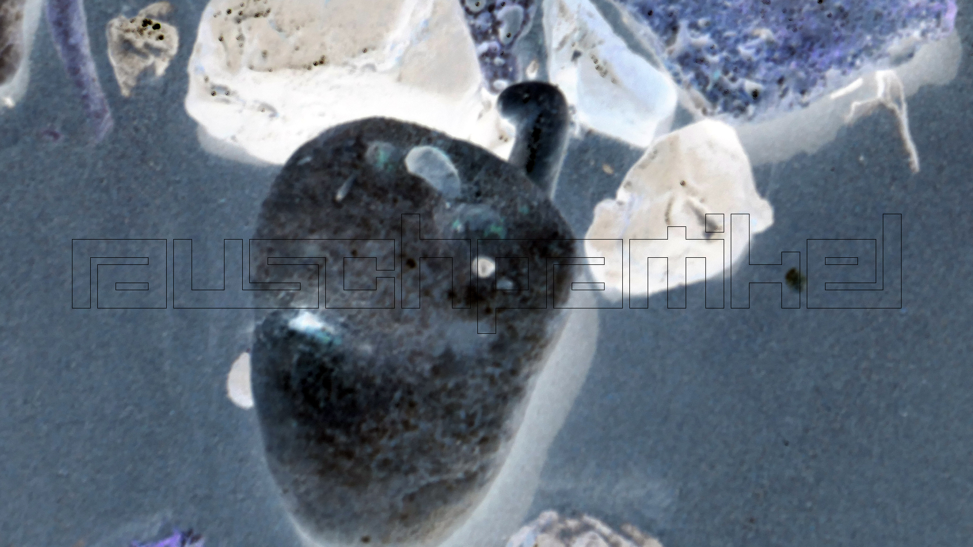 2022-04-20 Playa Forti & Playa Jeremi (Foto)