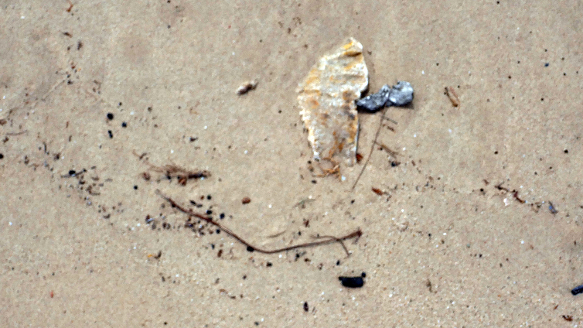 2022-04-20 Playa Forti & Playa Jeremi (Foto)