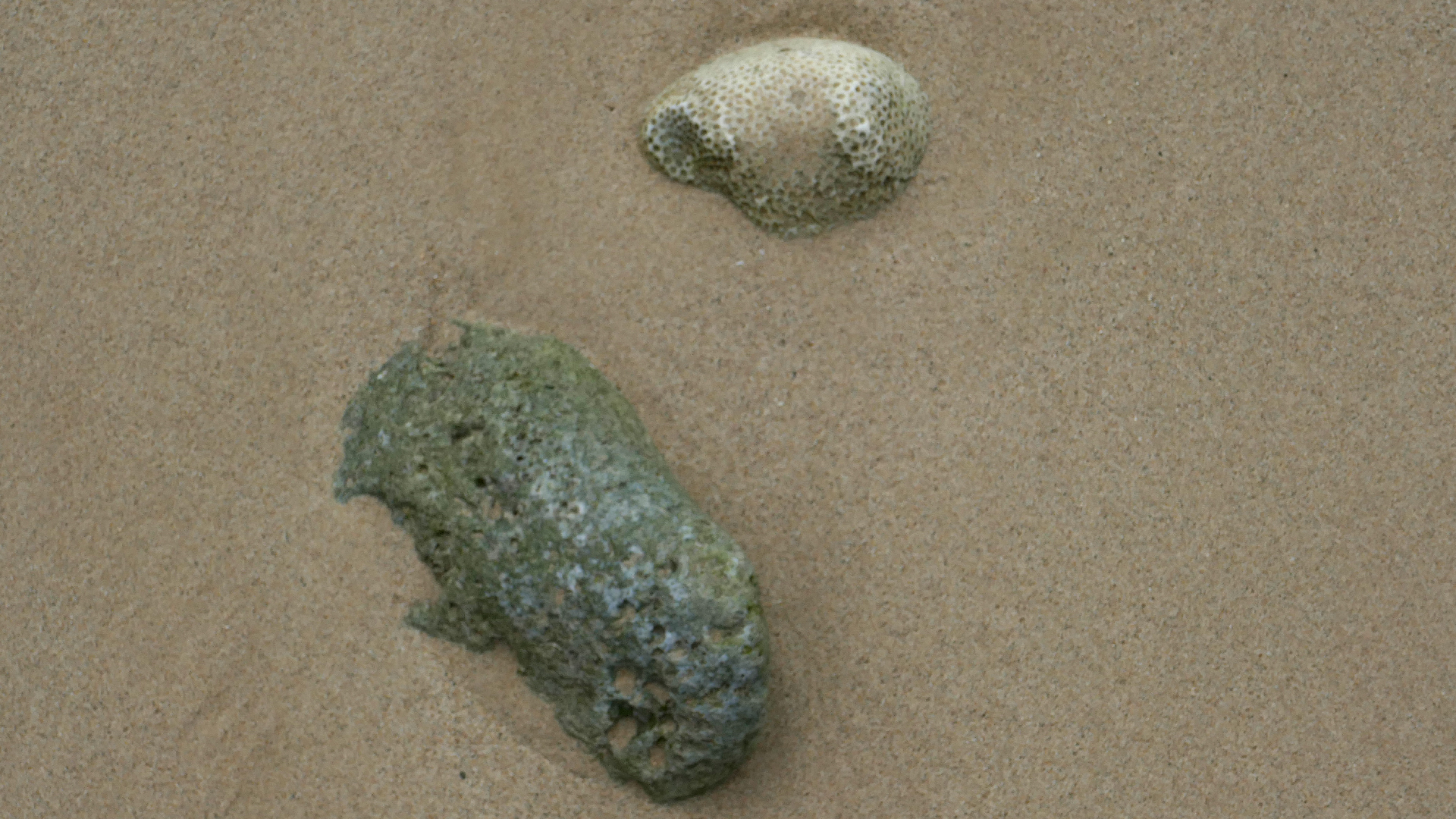 2022-04-20 Playa Forti & Playa Jeremi (Foto)