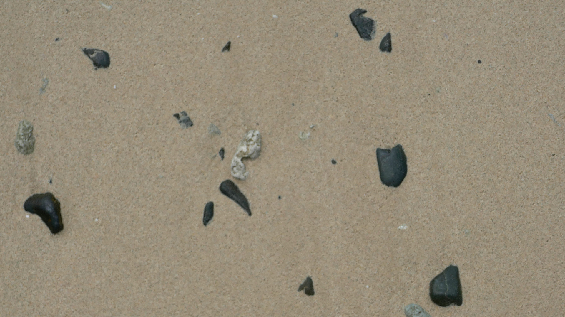 2022-04-20 Playa Forti & Playa Jeremi (Foto)