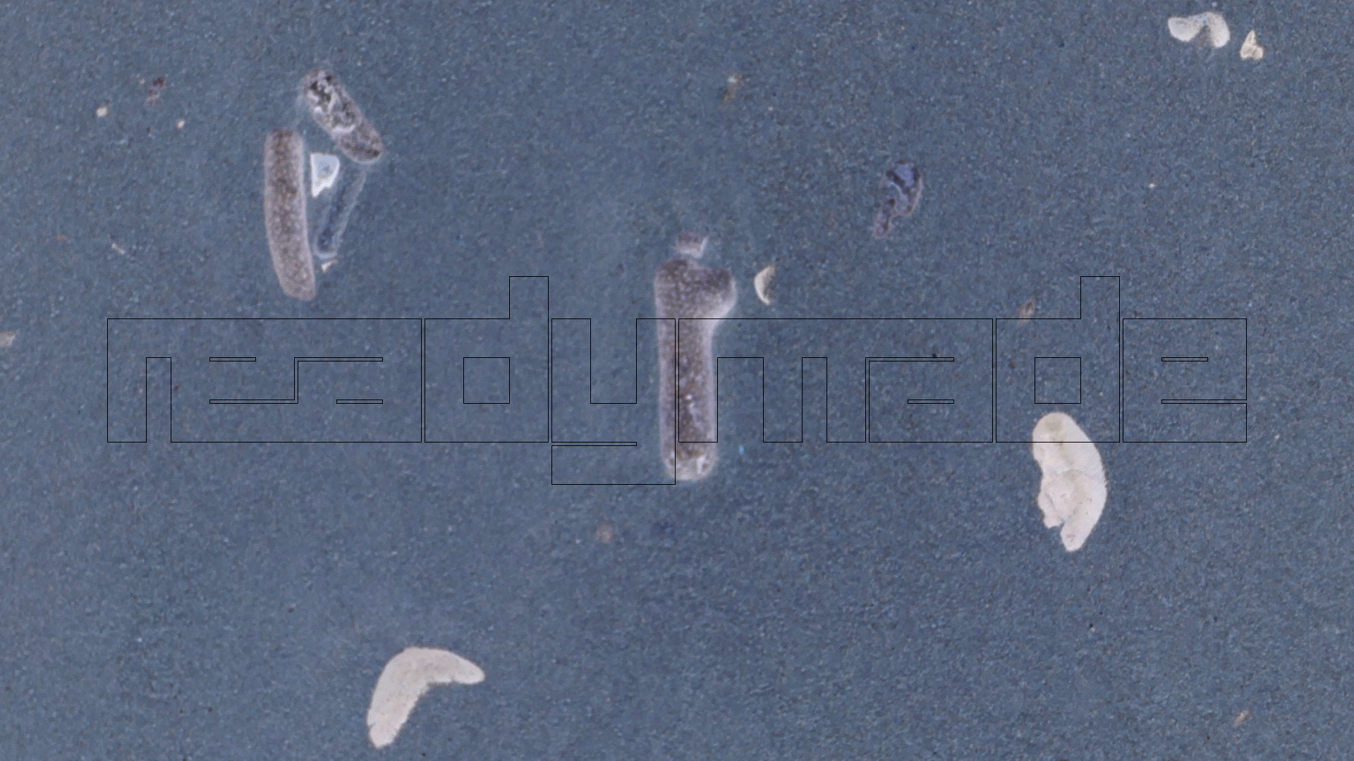 2022-04-20 Playa Forti & Playa Jeremi (Foto)