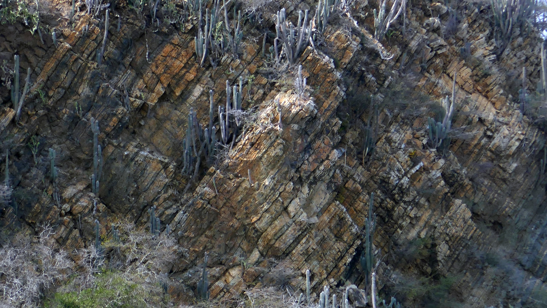 2022-04-20 Playa Forti & Playa Jeremi (Foto)