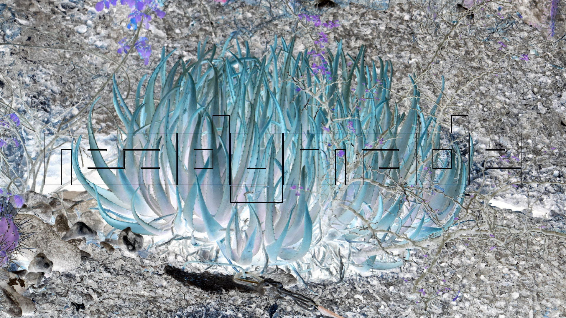 2022-04-20 Playa Forti & Playa Jeremi (Foto)