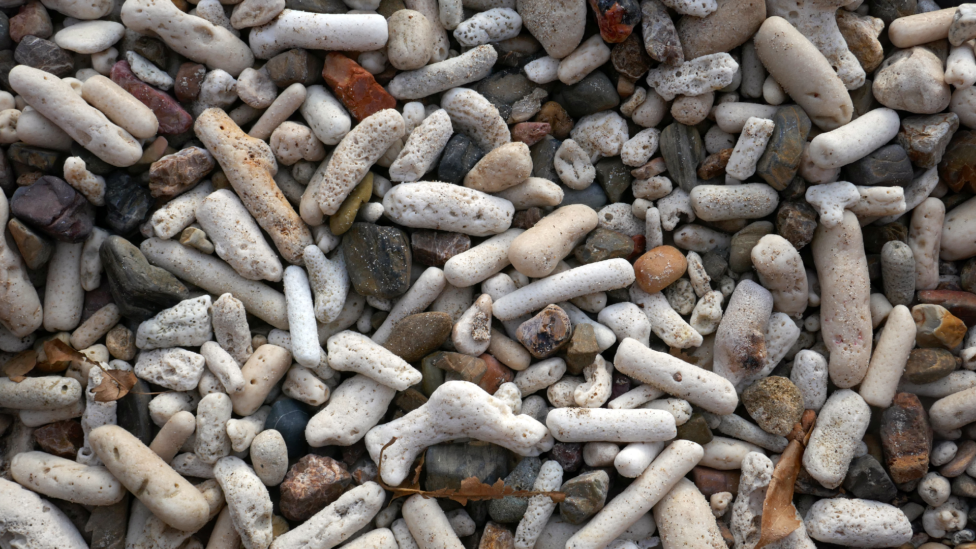 2022-04-20 Playa Forti & Playa Jeremi (Foto)