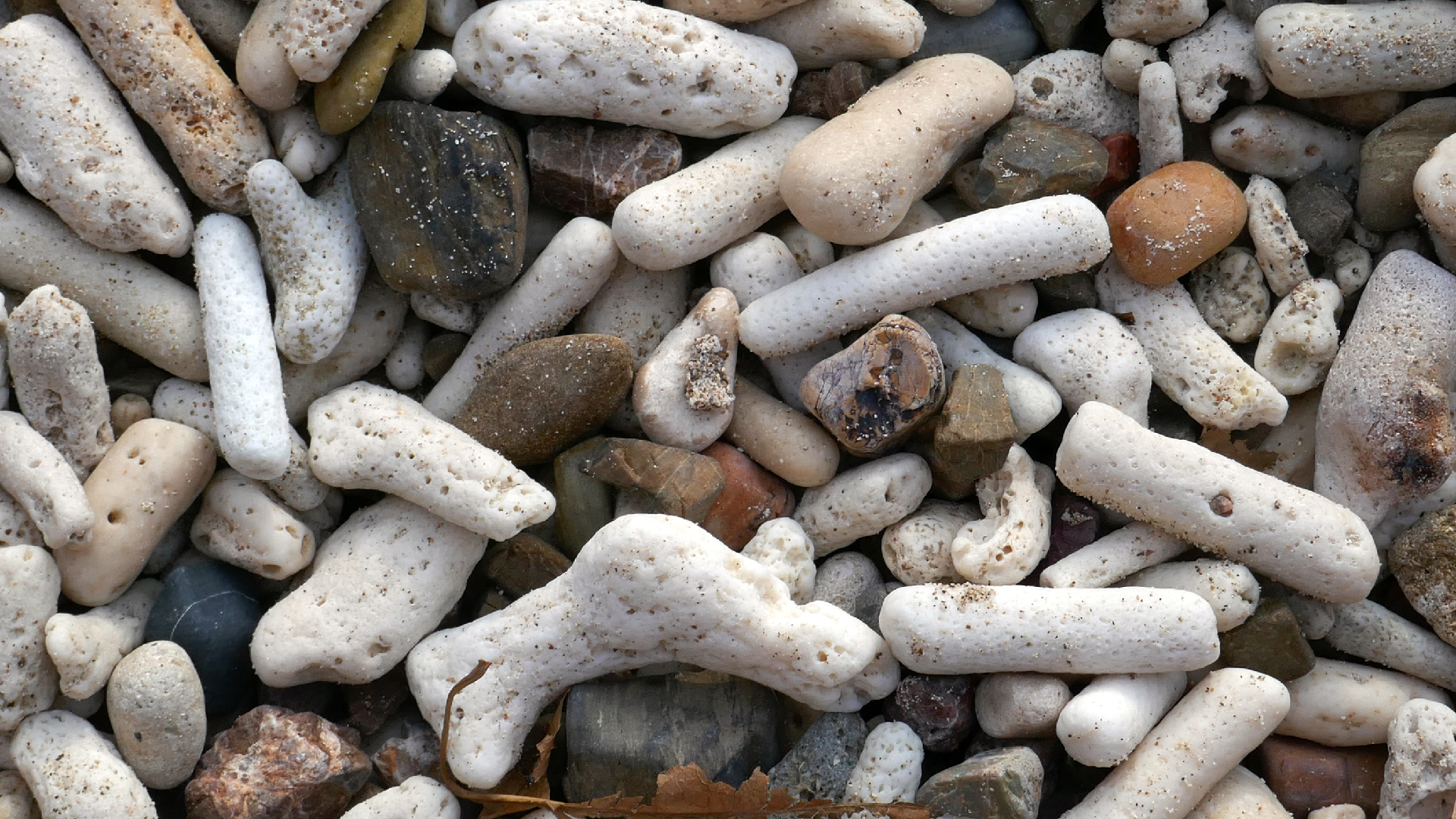 2022-04-20 Playa Forti & Playa Jeremi (Foto)