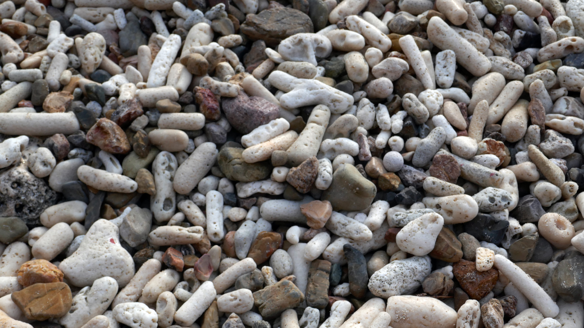 2022-04-20 Playa Forti & Playa Jeremi (Foto)