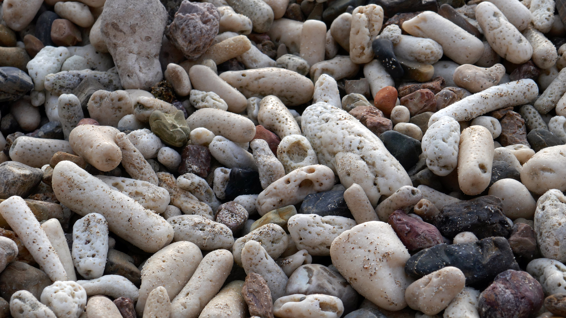 2022-04-20 Playa Forti & Playa Jeremi (Foto)