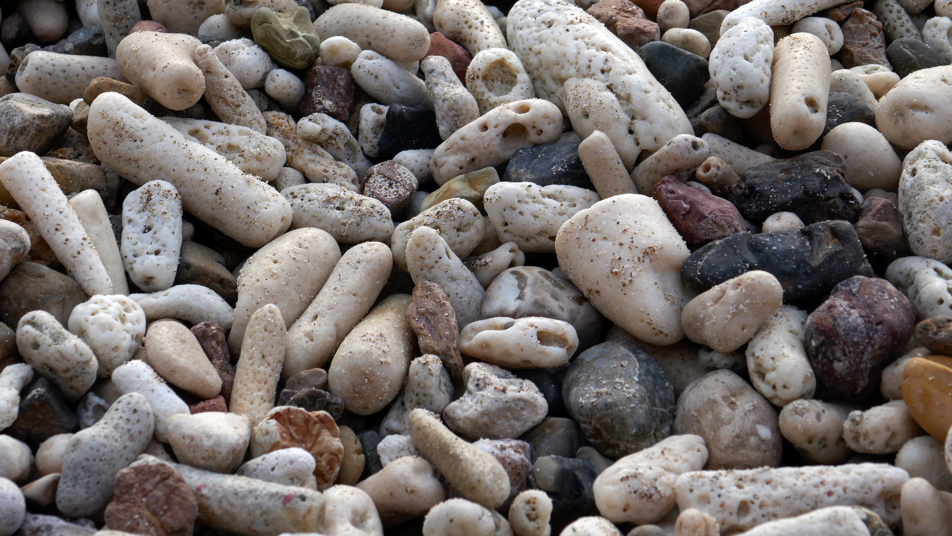 2022-04-20 Playa Forti & Playa Jeremi (Foto)