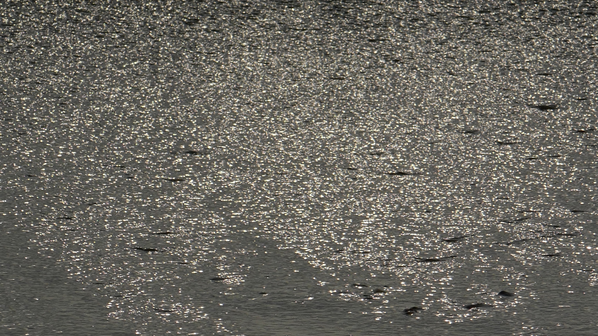 2022-04-20 Playa Forti & Playa Jeremi (Foto)