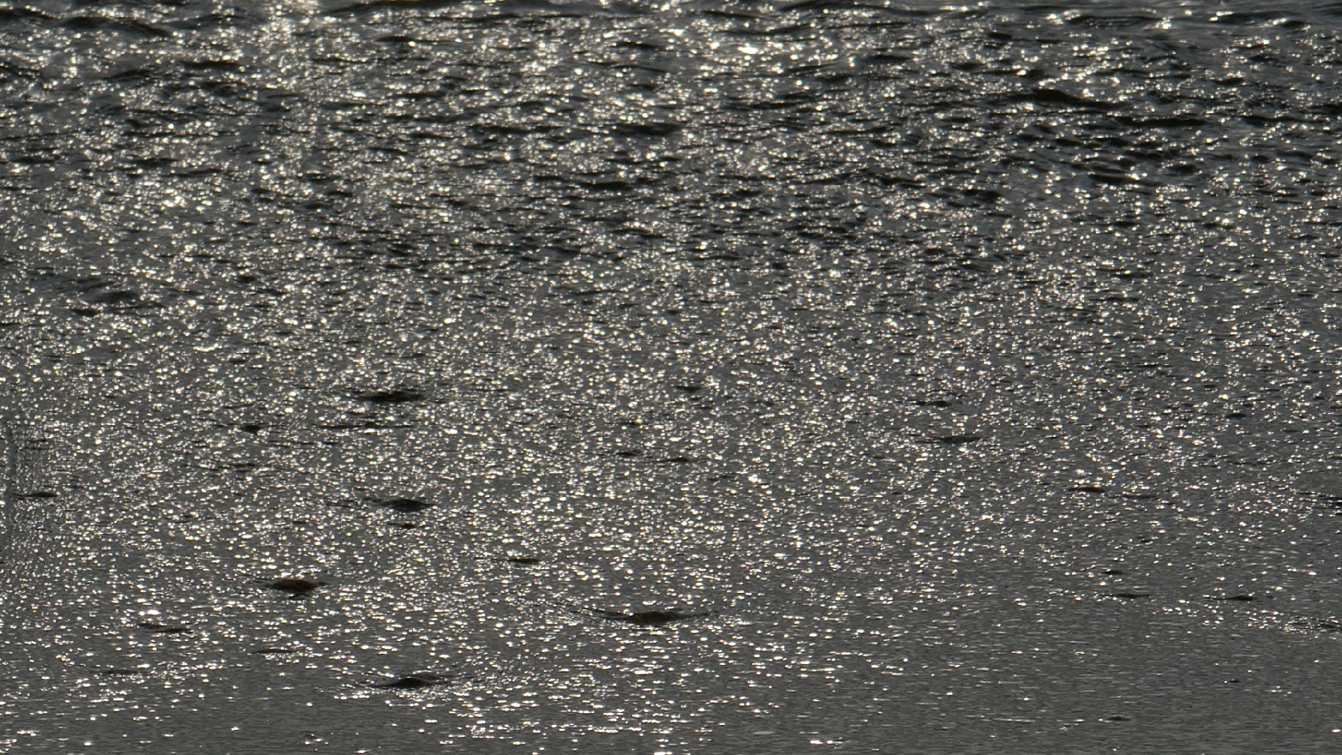 2022-04-20 Playa Forti & Playa Jeremi (Foto)