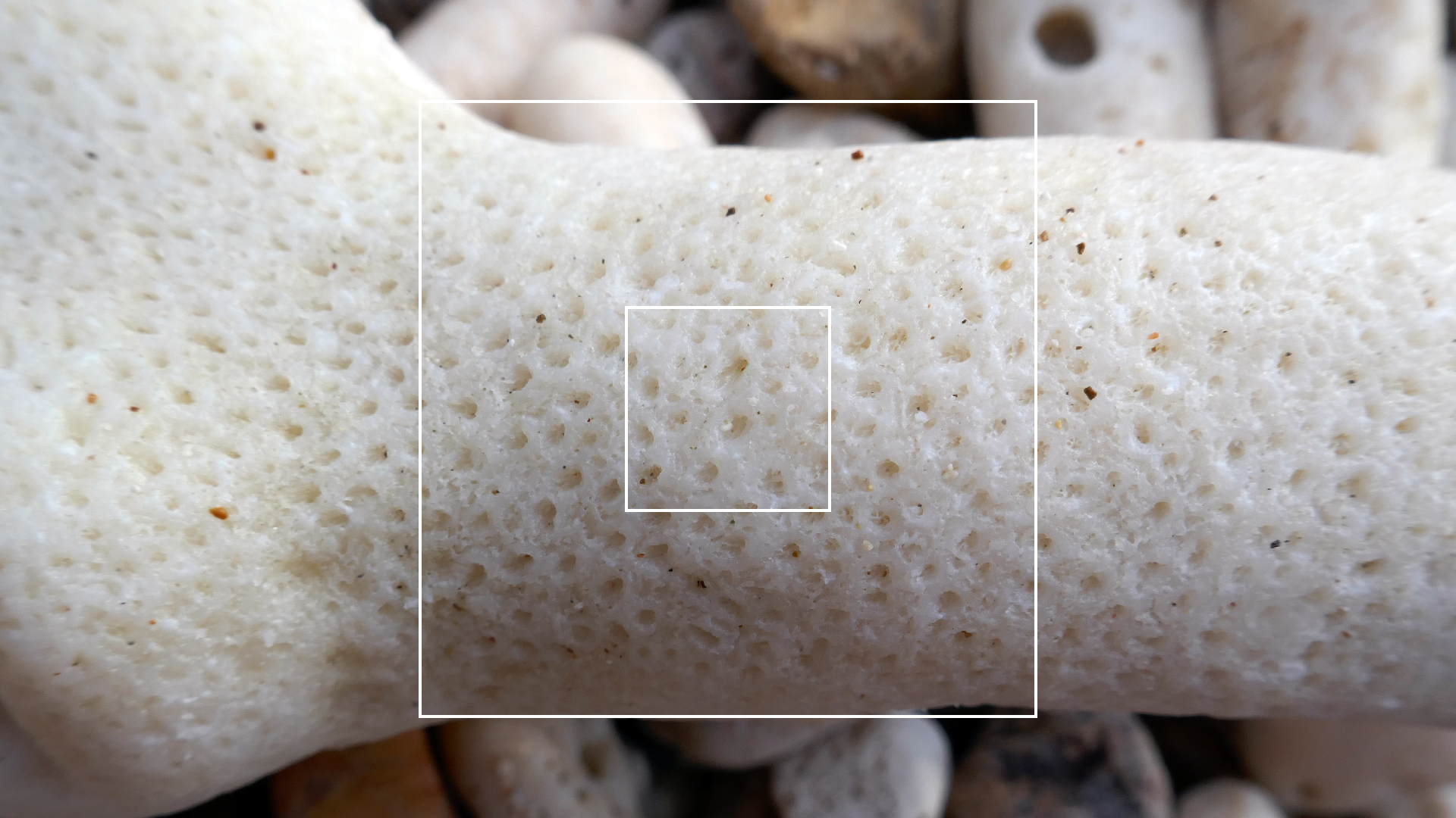 2022-04-20 Playa Forti & Playa Jeremi (Foto)