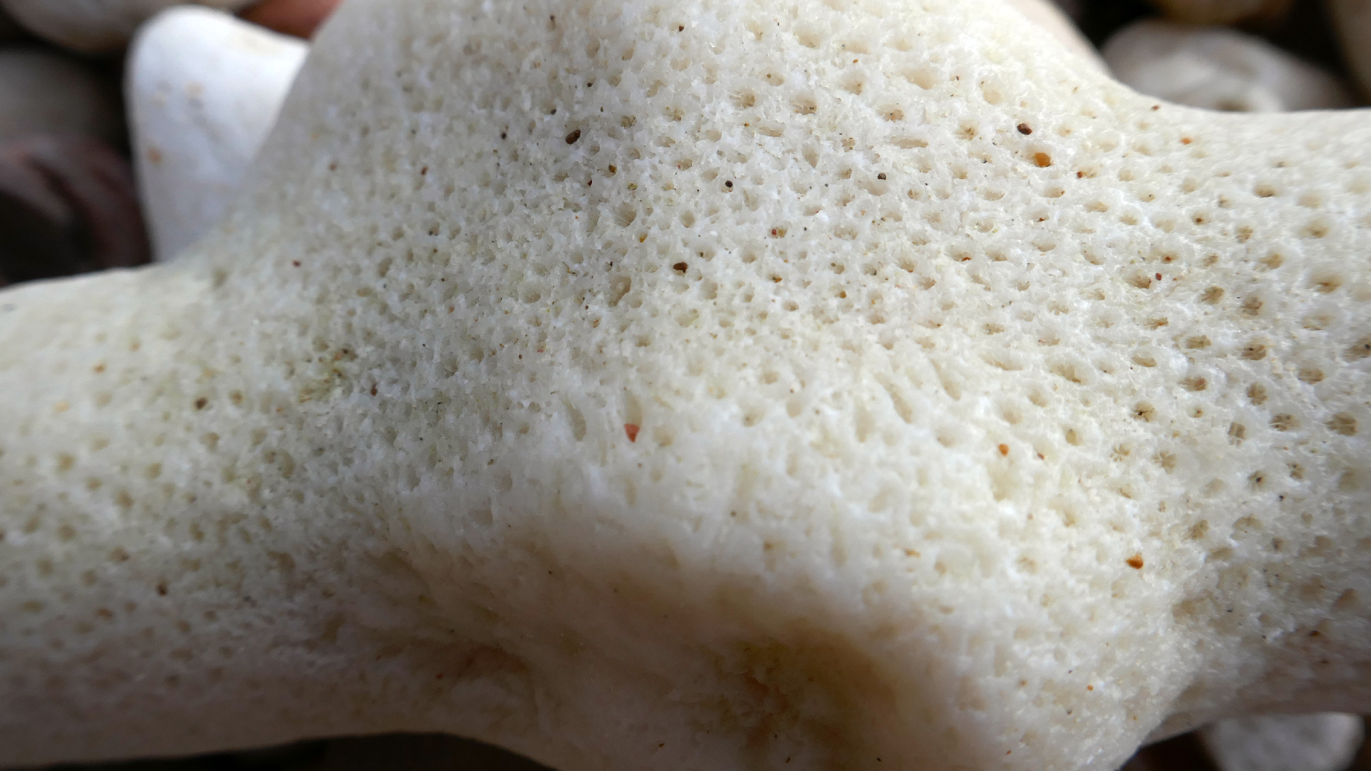 2022-04-20 Playa Forti & Playa Jeremi (Foto)