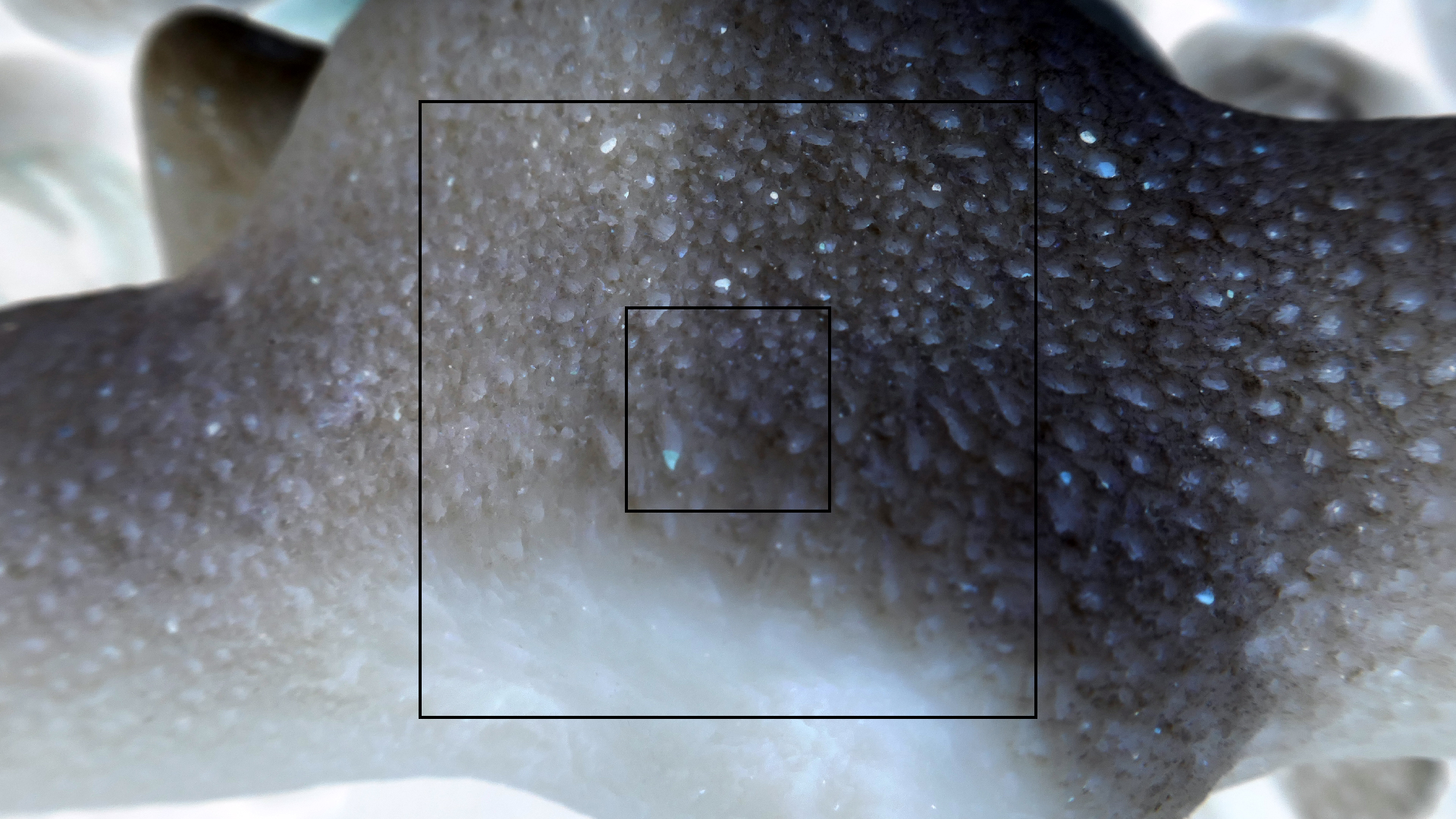 2022-04-20 Playa Forti & Playa Jeremi (Foto)