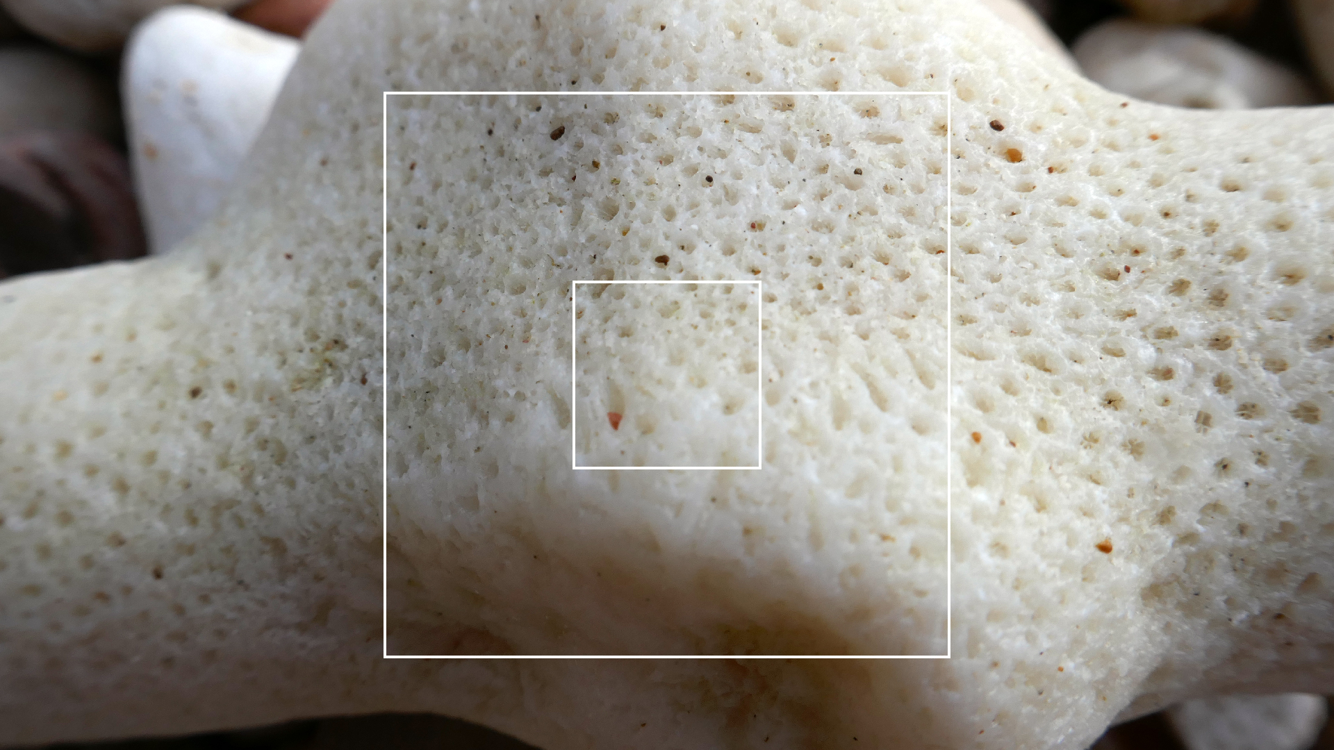 2022-04-20 Playa Forti & Playa Jeremi (Foto)