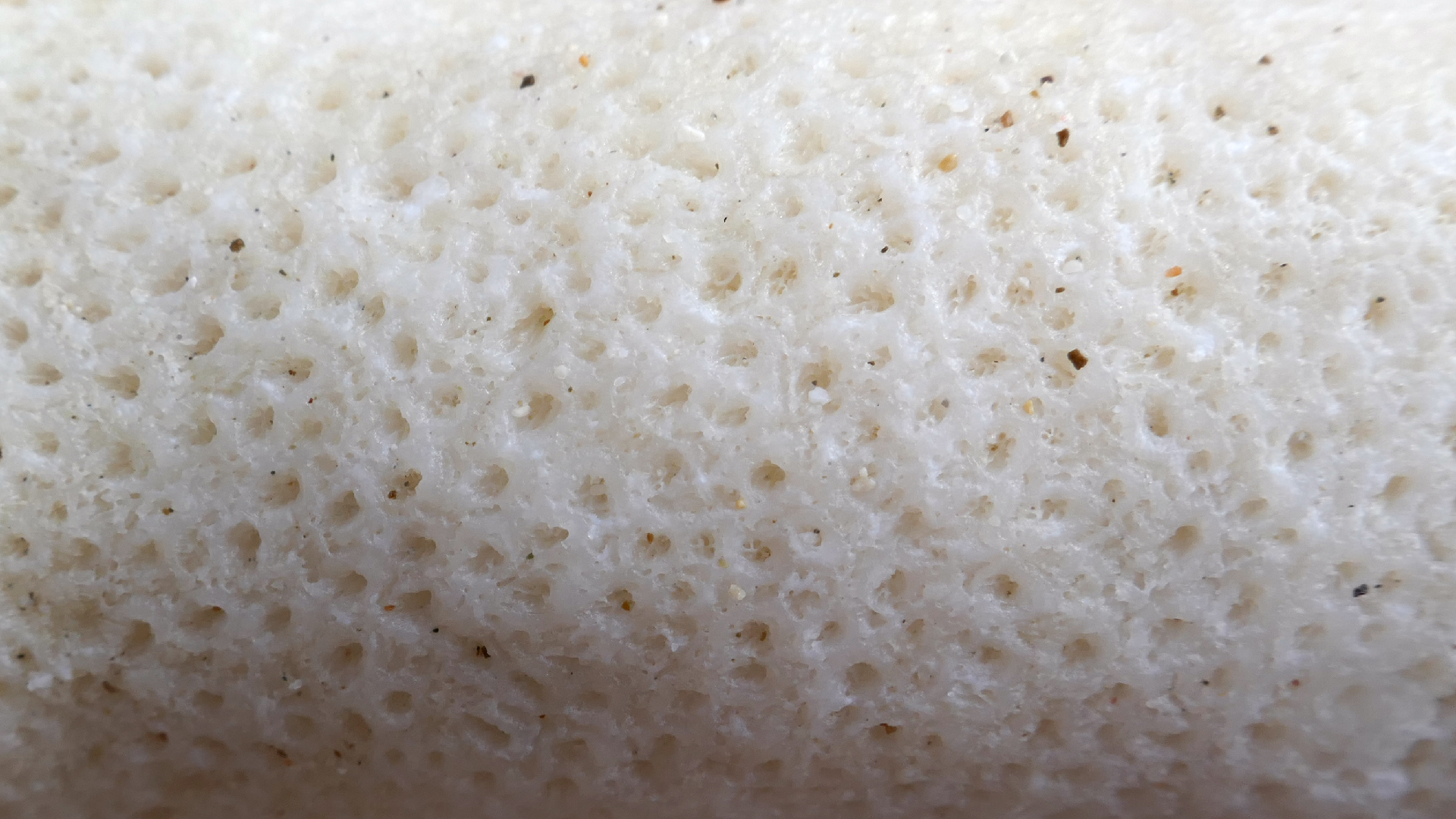 2022-04-20 Playa Forti & Playa Jeremi (Foto)