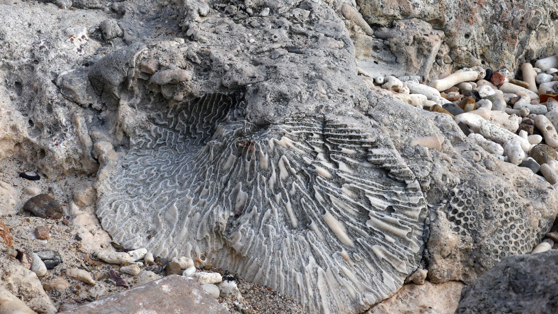 2022-04-20 Playa Forti & Playa Jeremi (Foto)