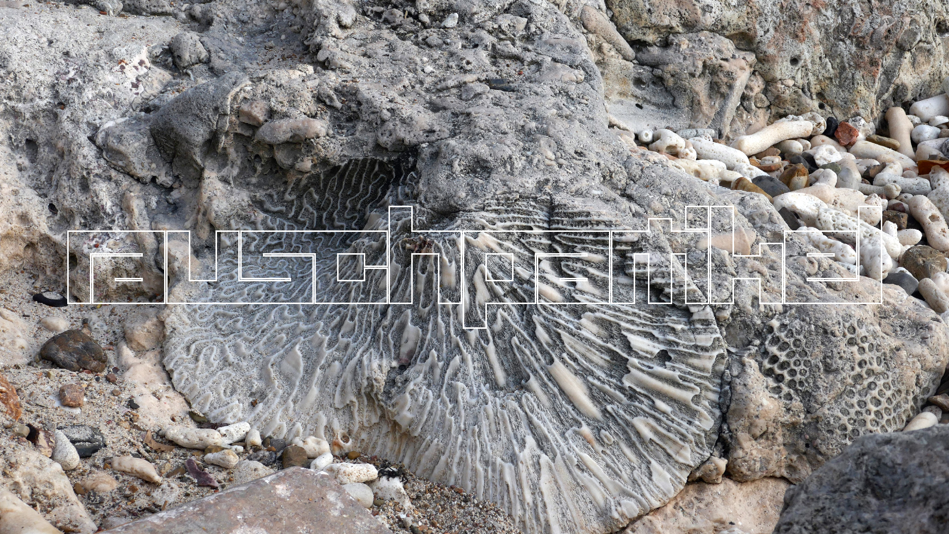 2022-04-20 Playa Forti & Playa Jeremi (Foto)