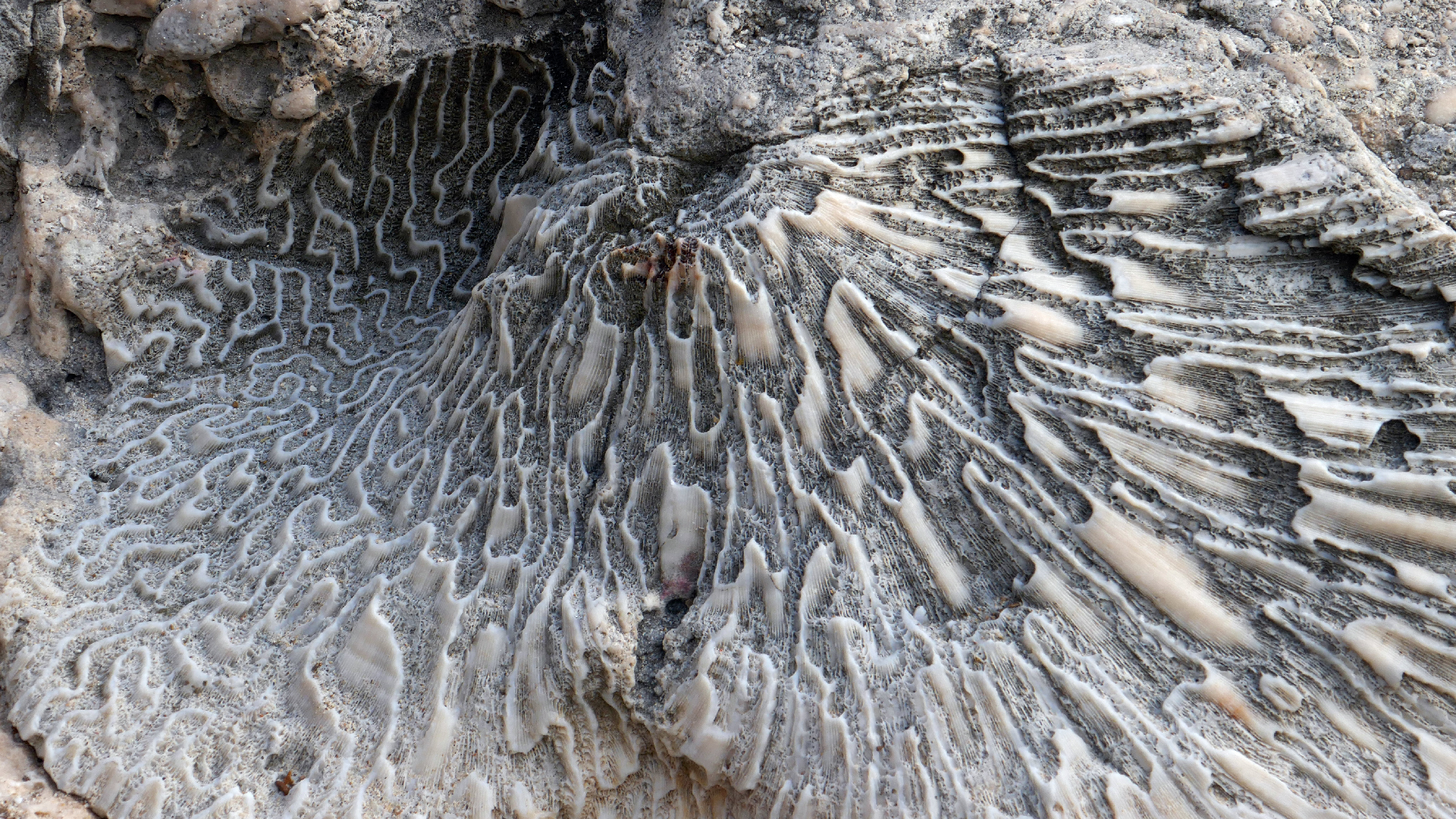 2022-04-20 Playa Forti & Playa Jeremi (Foto)