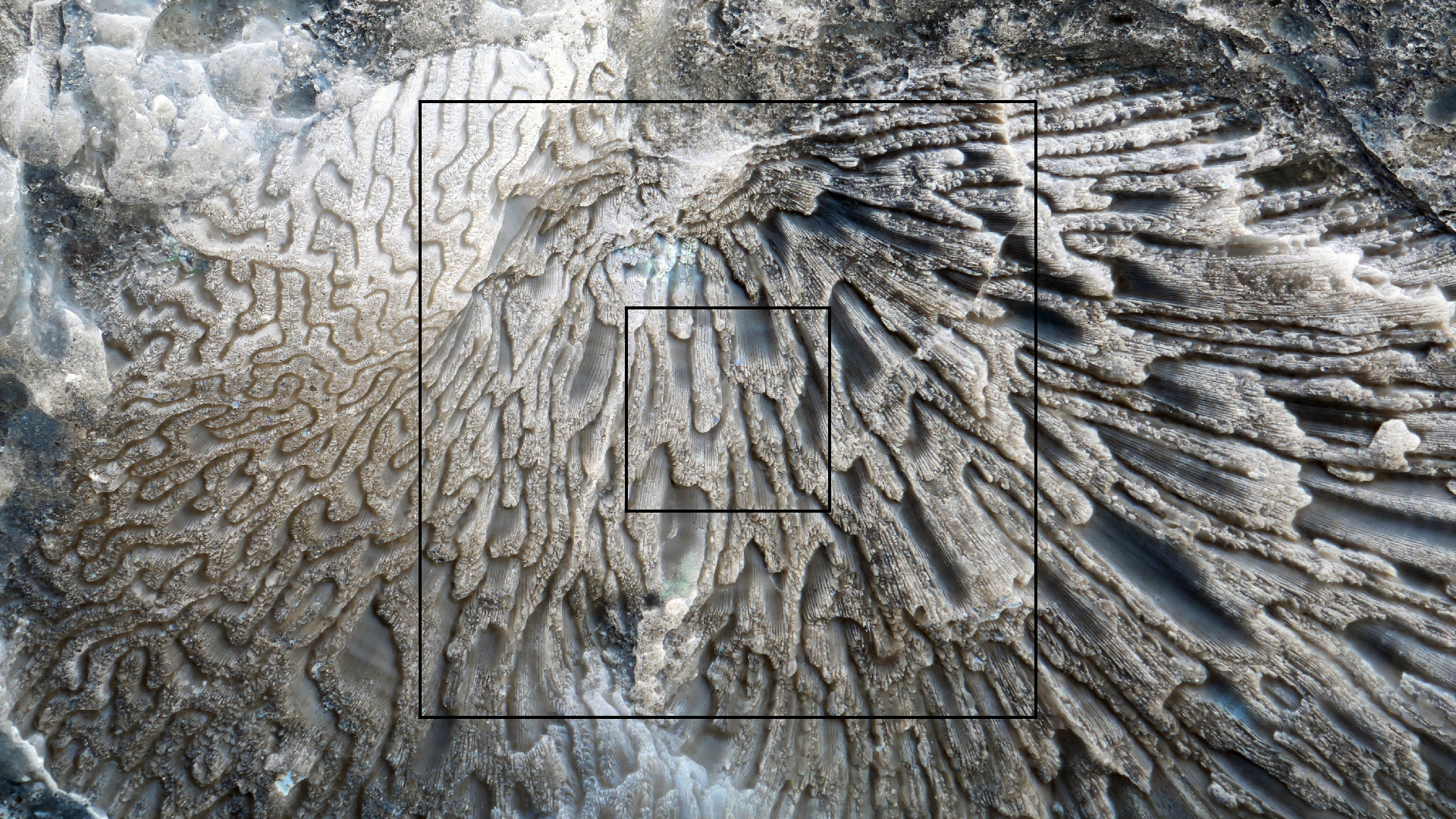 2022-04-20 Playa Forti & Playa Jeremi (Foto)