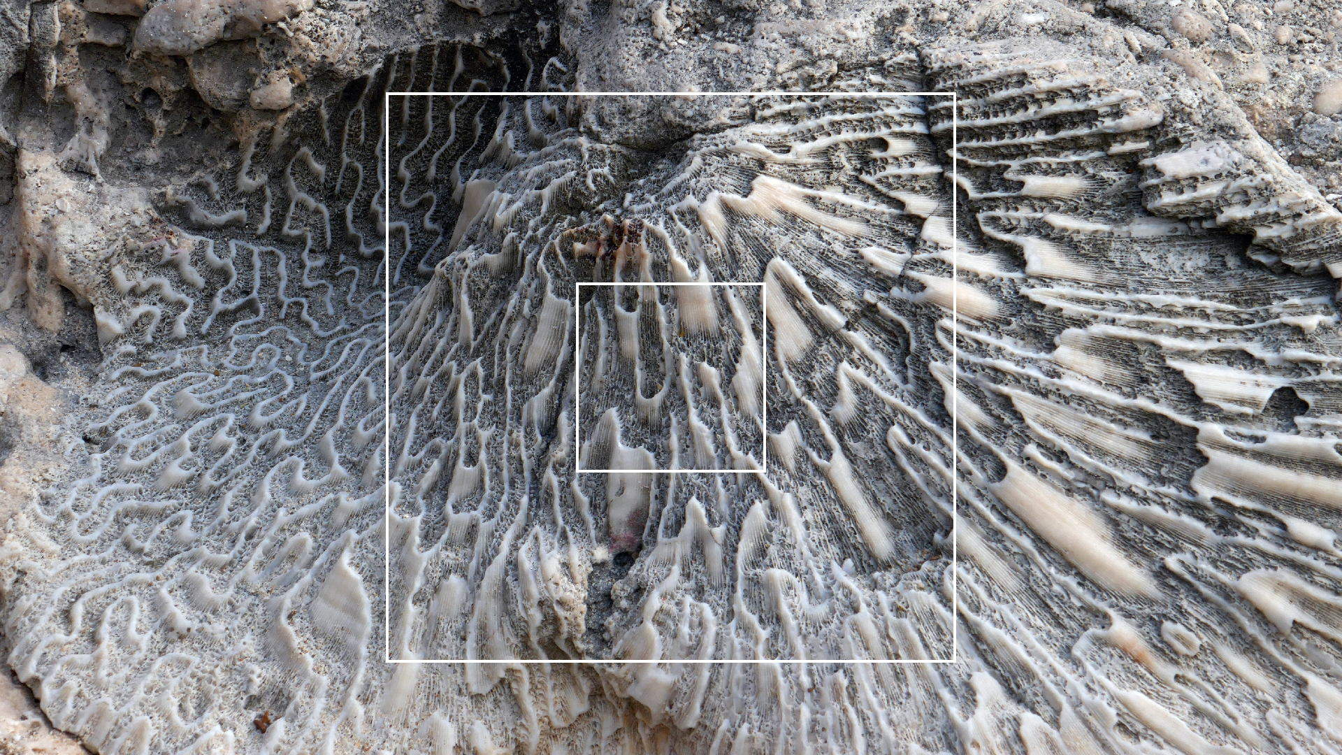 2022-04-20 Playa Forti & Playa Jeremi (Foto)