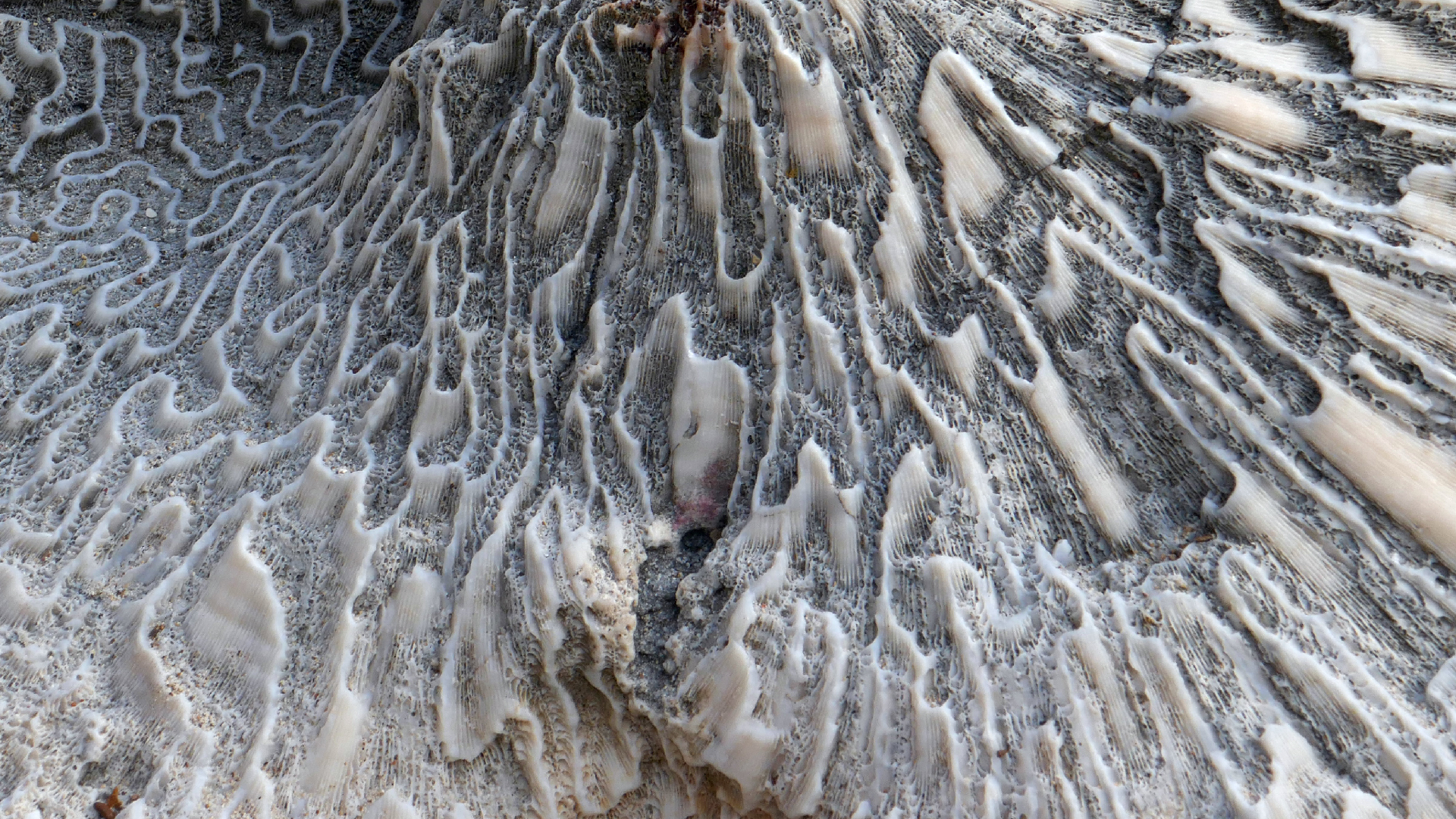 2022-04-20 Playa Forti & Playa Jeremi (Foto)