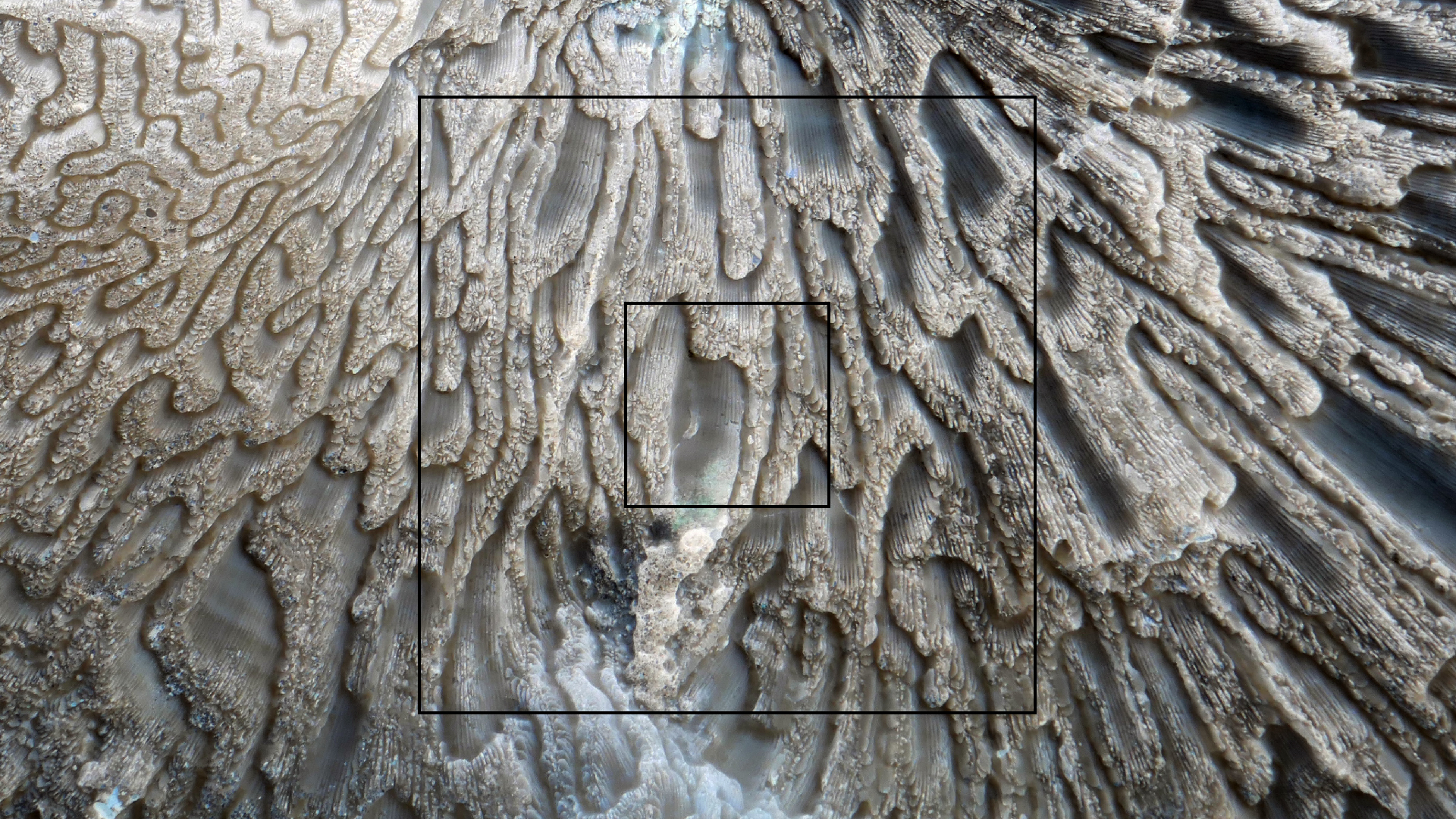 2022-04-20 Playa Forti & Playa Jeremi (Foto)