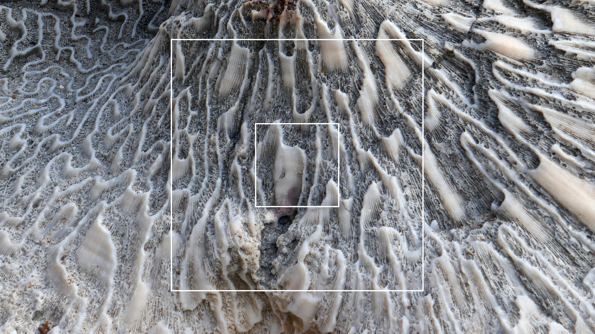 2022-04-20 Playa Forti & Playa Jeremi (Foto)