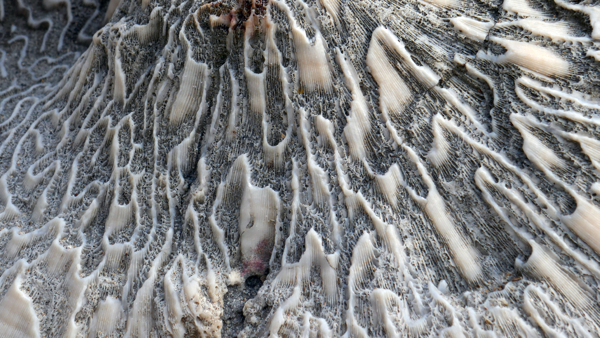 2022-04-20 Playa Forti & Playa Jeremi (Foto)