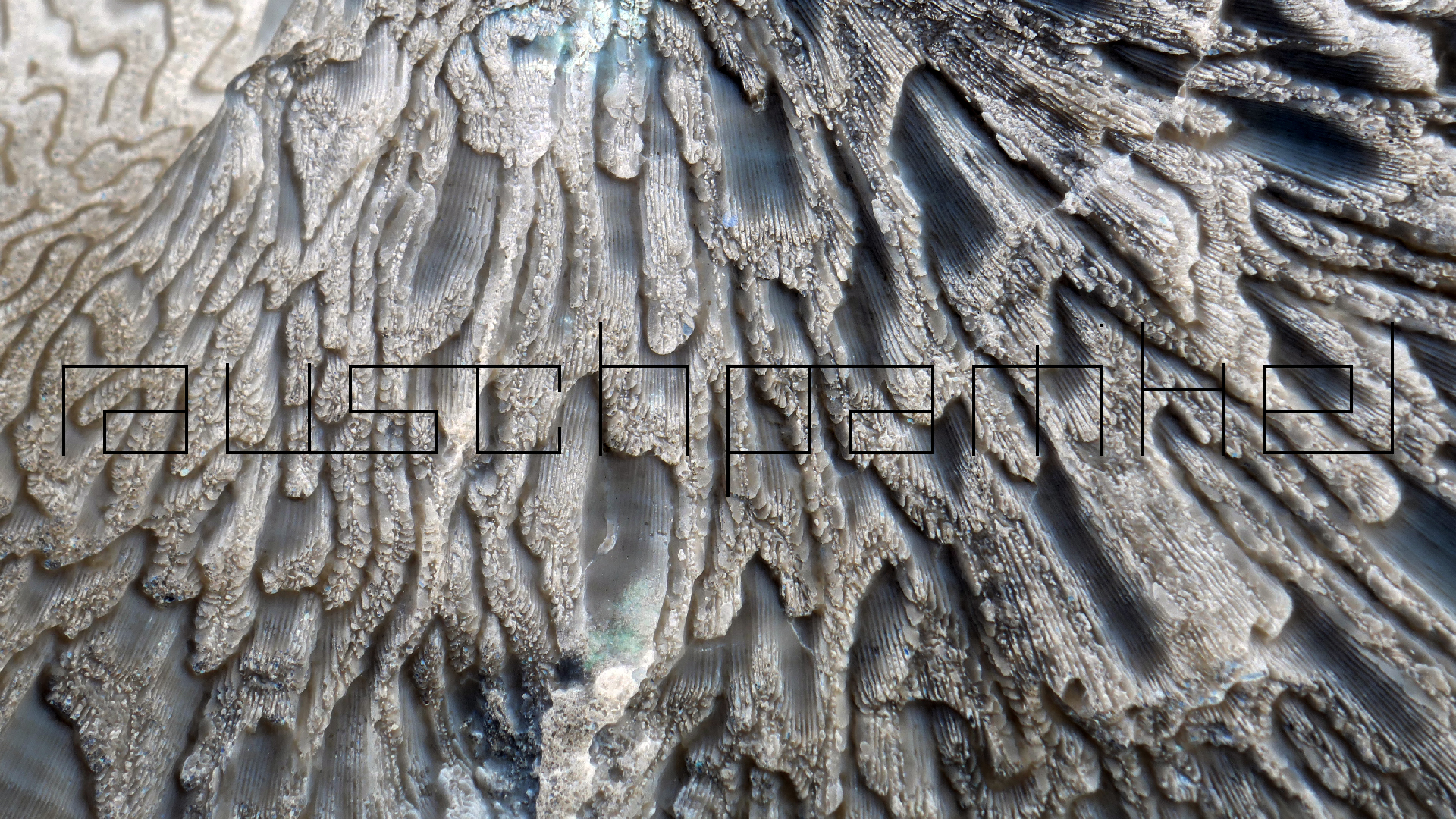 2022-04-20 Playa Forti & Playa Jeremi (Foto)