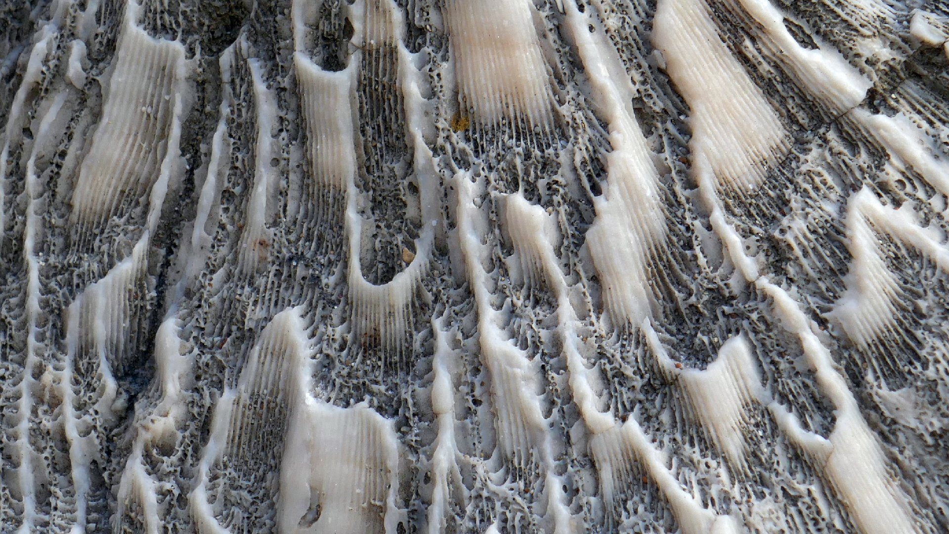 2022-04-20 Playa Forti & Playa Jeremi (Foto)