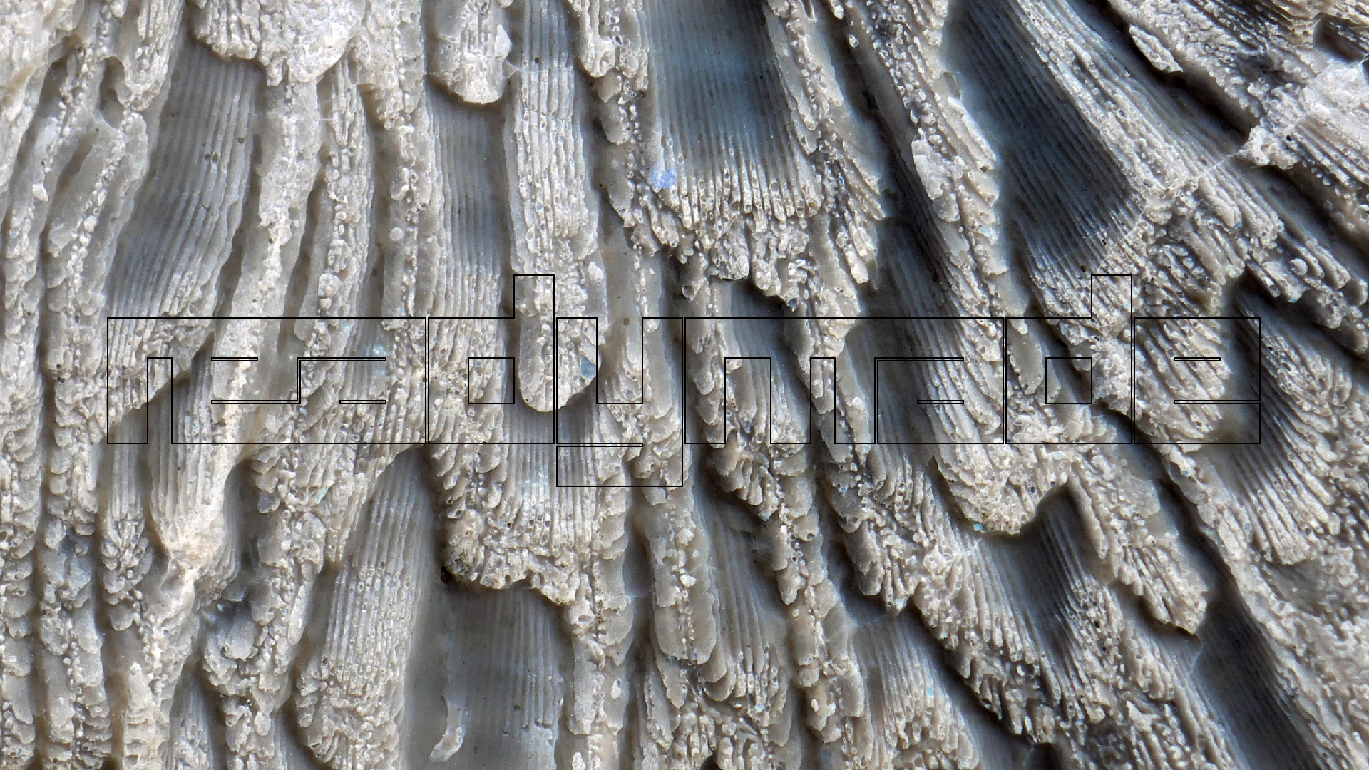 2022-04-20 Playa Forti & Playa Jeremi (Foto)