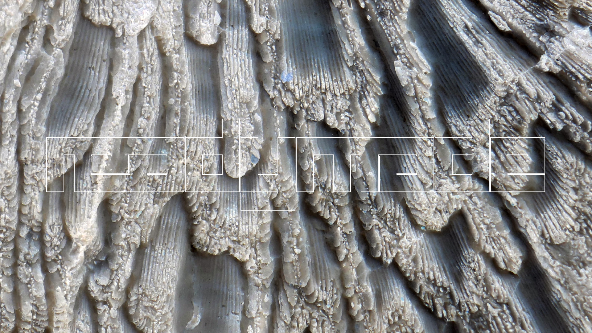 2022-04-20 Playa Forti & Playa Jeremi (Foto)