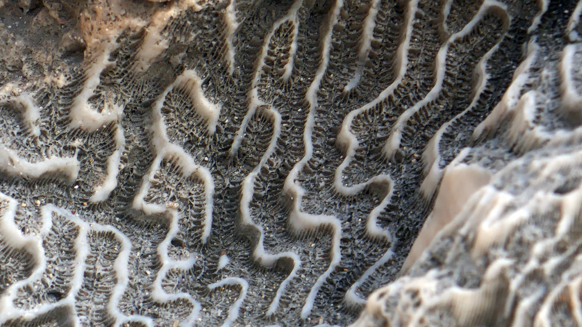 2022-04-20 Playa Forti & Playa Jeremi (Foto)