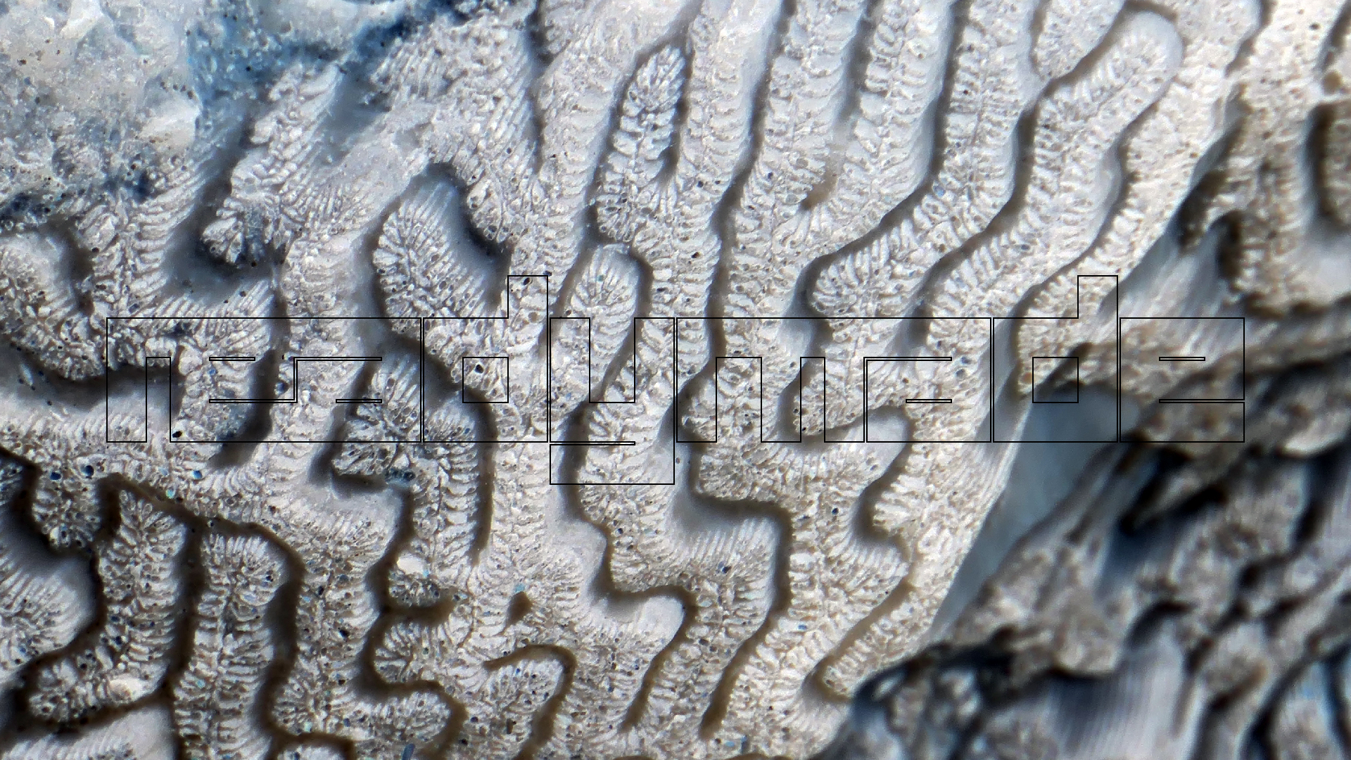 2022-04-20 Playa Forti & Playa Jeremi (Foto)