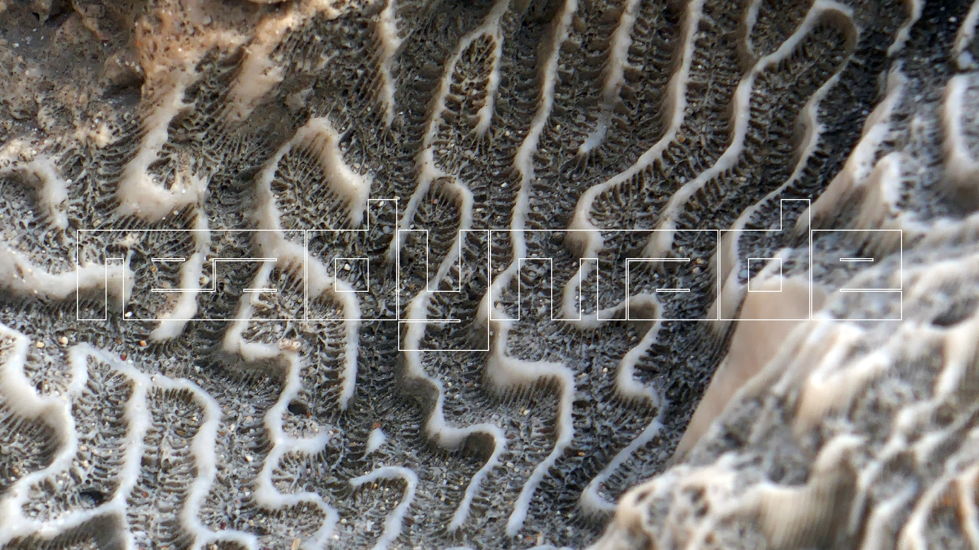 2022-04-20 Playa Forti & Playa Jeremi (Foto)