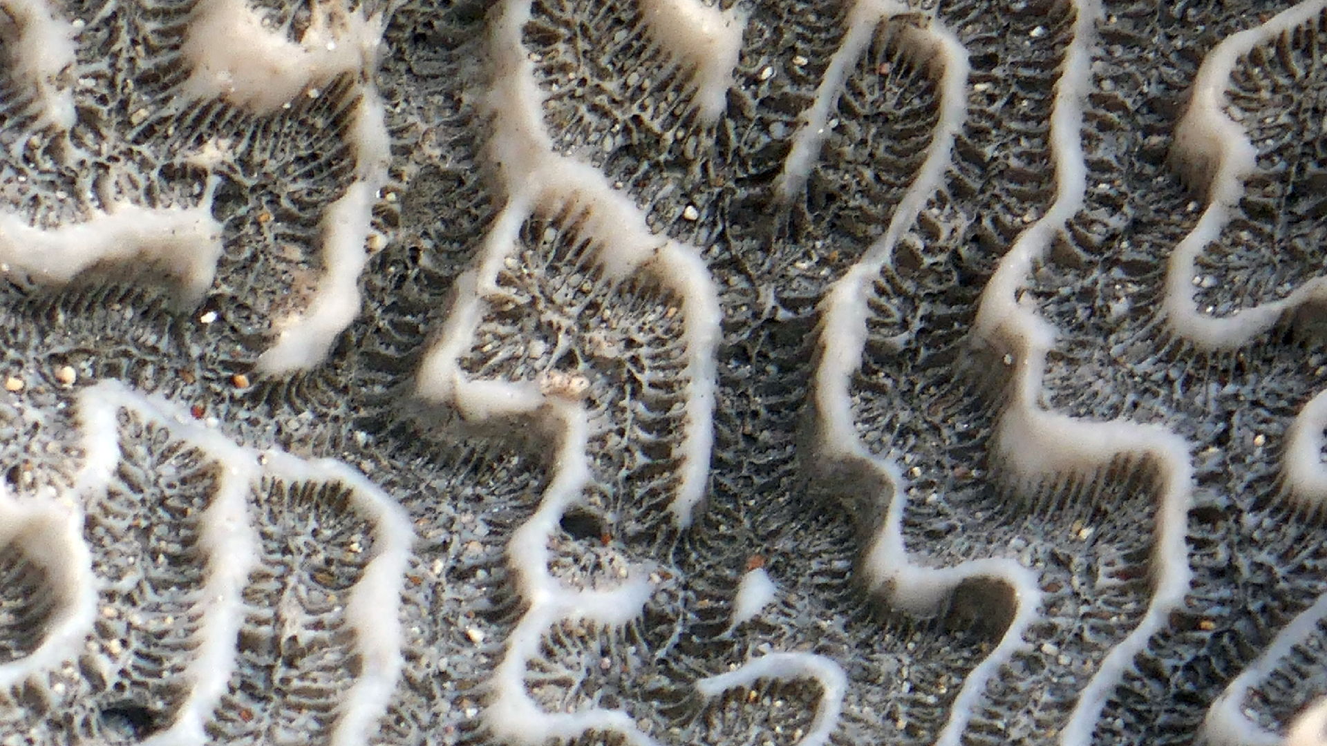 2022-04-20 Playa Forti & Playa Jeremi (Foto)