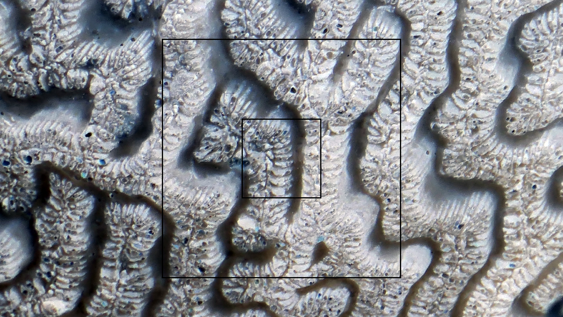 2022-04-20 Playa Forti & Playa Jeremi (Foto)