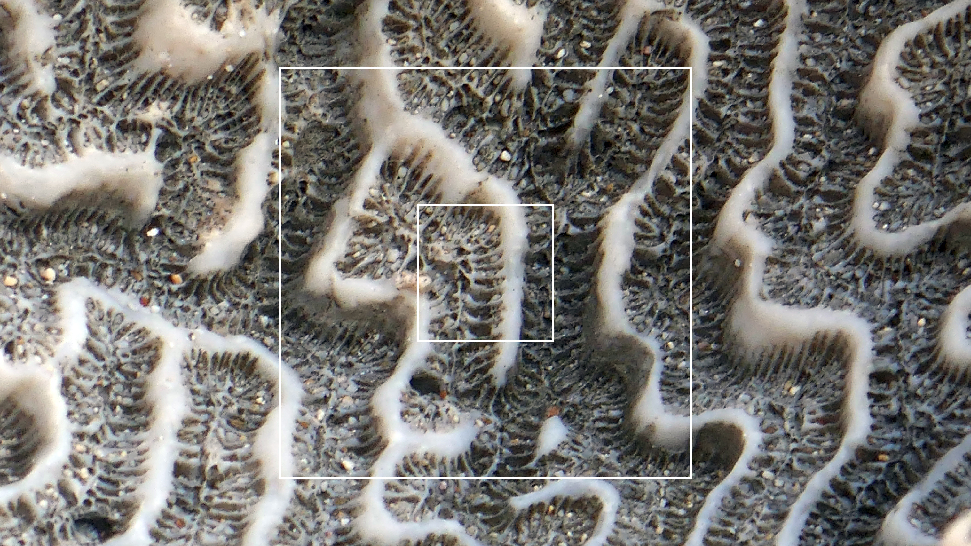 2022-04-20 Playa Forti & Playa Jeremi (Foto)