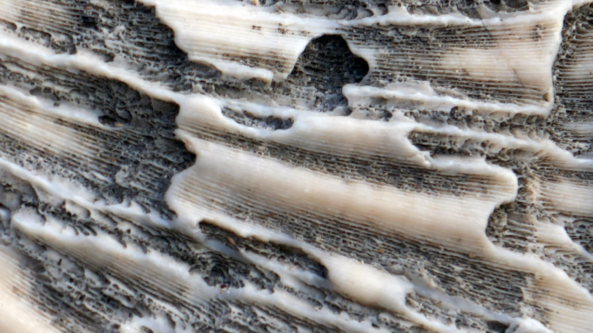 2022-04-20 Playa Forti & Playa Jeremi (Foto)