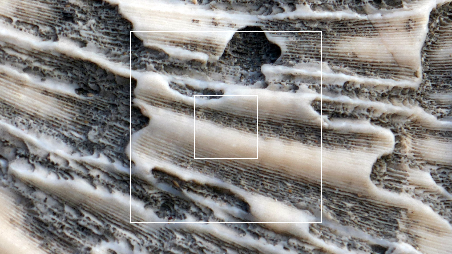 2022-04-20 Playa Forti & Playa Jeremi (Foto)