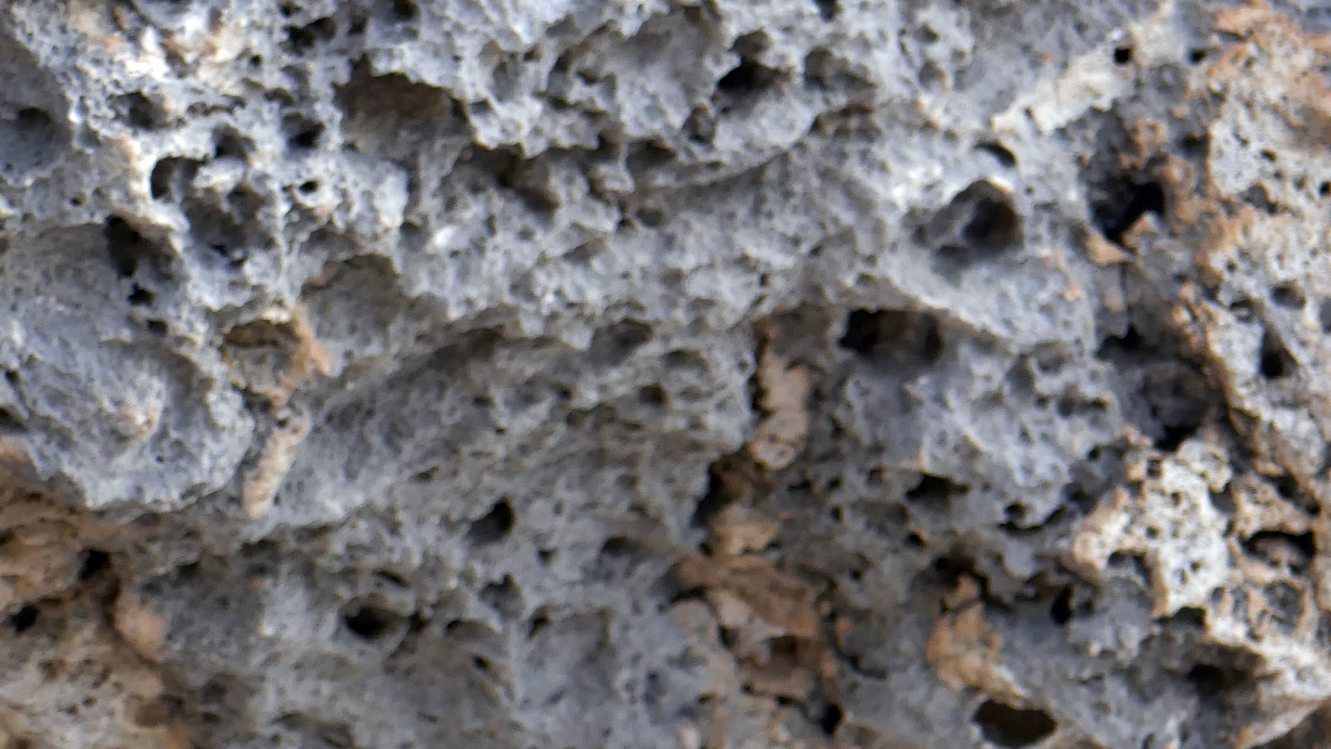 2022-04-20 Playa Forti & Playa Jeremi (Foto)