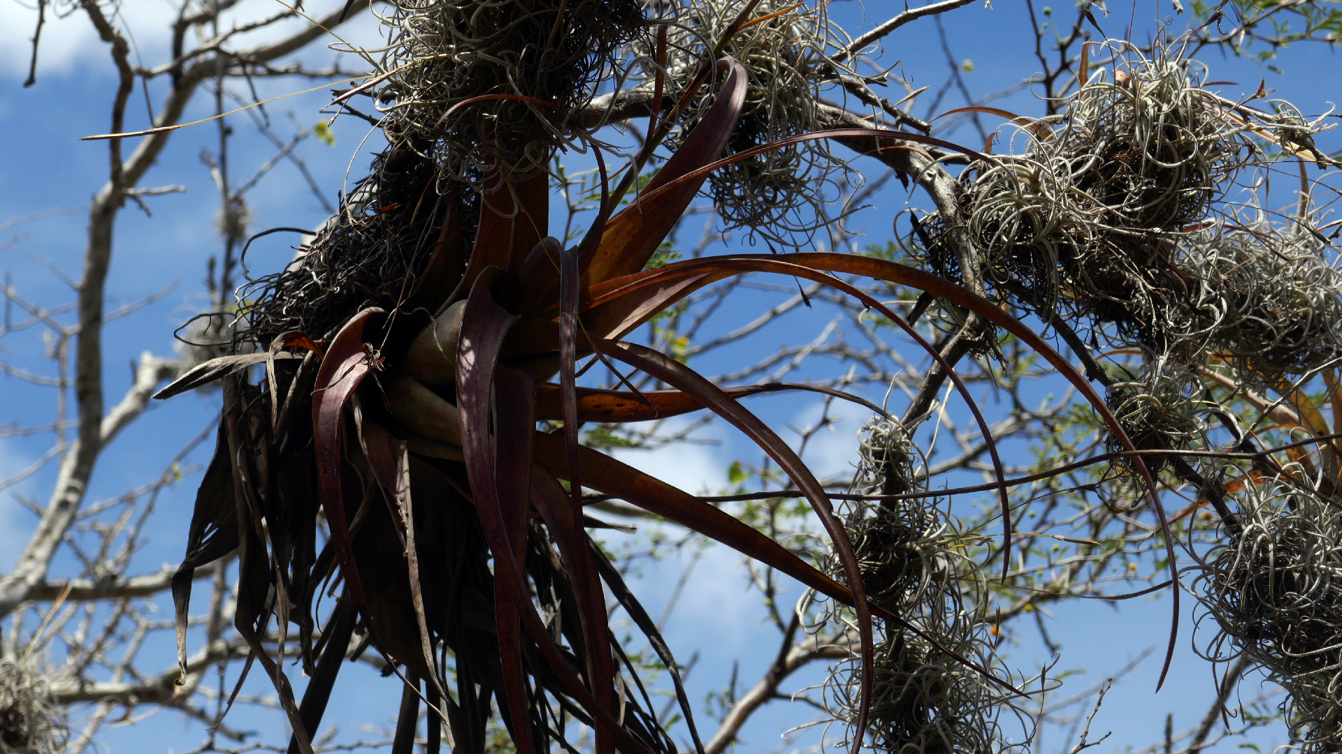 2022-04-22 Blaue Kammer (Foto)