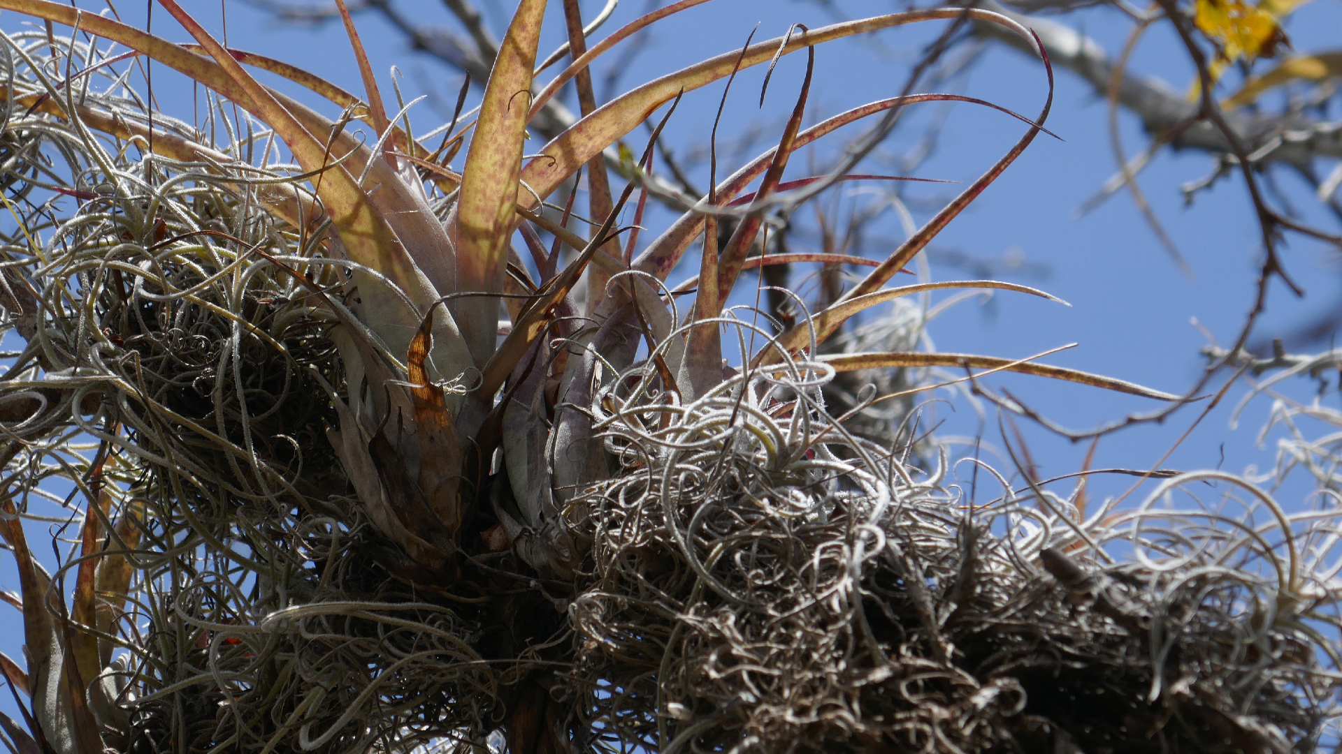 2022-04-22 Blaue Kammer (Foto)