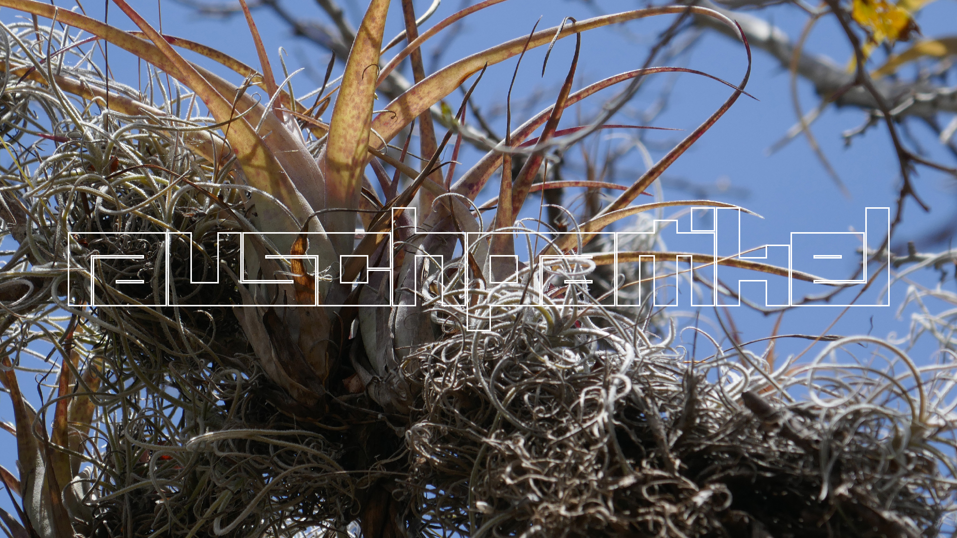 2022-04-22 Blaue Kammer (Foto)