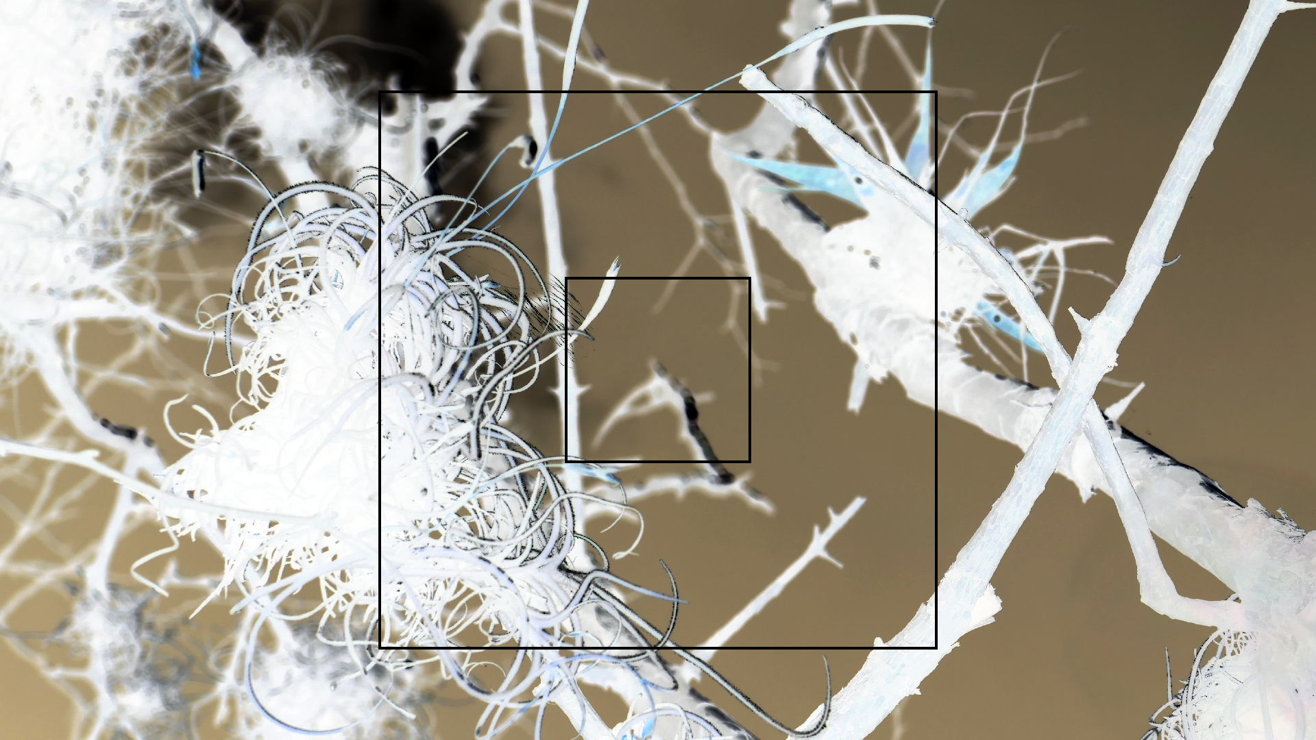 2022-04-22 Blaue Kammer (Foto)