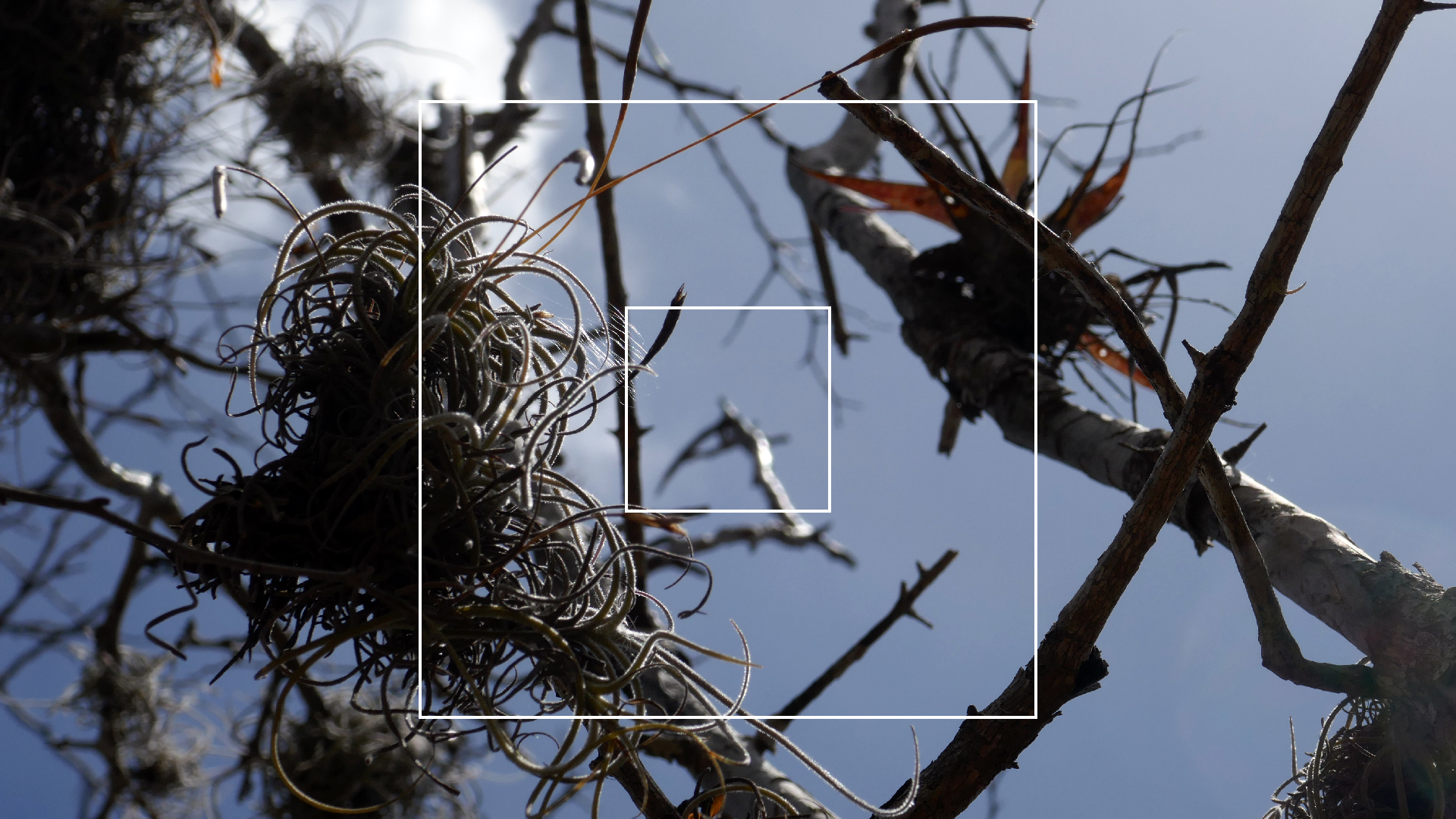 2022-04-22 Blaue Kammer (Foto)