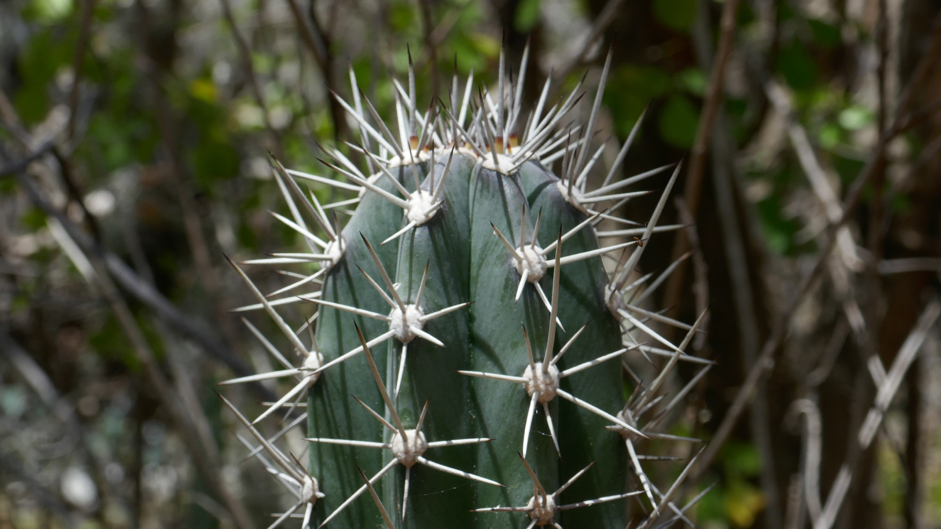 2022-04-22 Blaue Kammer (Foto)